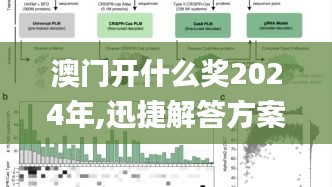 澳门开什么奖2024年,迅捷解答方案设计_HT70.174-5