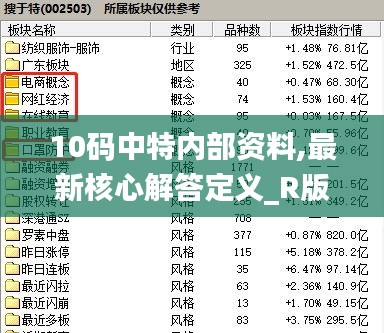 10码中特内部资料,最新核心解答定义_R版96.528-9