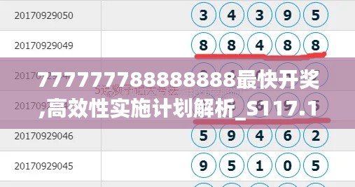 777777788888888最快开奖,高效性实施计划解析_S117.178-9