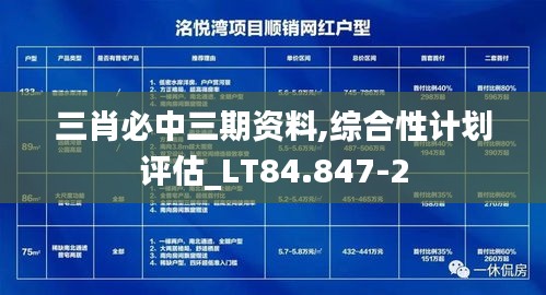 三肖必中三期资料,综合性计划评估_LT84.847-2