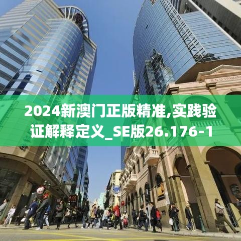 2024新澳门正版精准,实践验证解释定义_SE版26.176-1