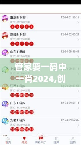 管家婆一码中一肖2024,创新计划分析_AP61.697-5