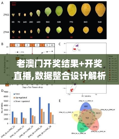 老澳门开奖结果+开奖直播,数据整合设计解析_Advance95.762-7