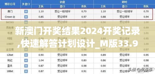 新澳门开奖结果2024开奖记录,快速解答计划设计_M版33.942-2