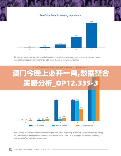 澳门今晚上必开一肖,数据整合策略分析_OP12.335-3