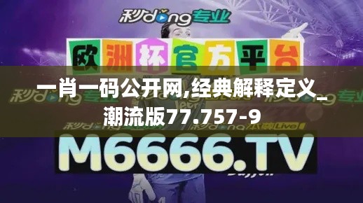 一肖一码公开网,经典解释定义_潮流版77.757-9