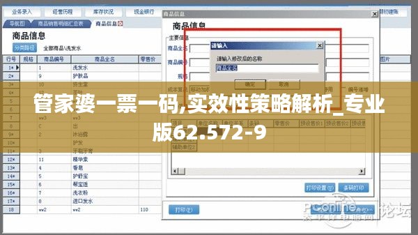 管家婆一票一码,实效性策略解析_专业版62.572-9