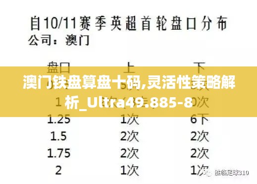 澳门铁盘算盘十码,灵活性策略解析_Ultra49.885-8