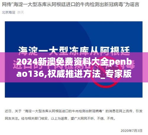 2024新澳免费资料大全penbao136,权威推进方法_专家版7.958-9