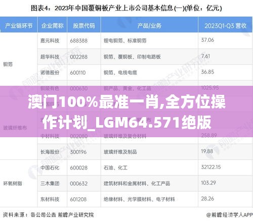 澳门100%最准一肖,全方位操作计划_LGM64.571绝版