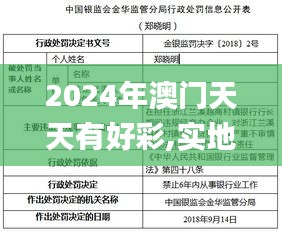 2024年澳门天天有好彩,实地数据评估分析_VQT51.414编辑版