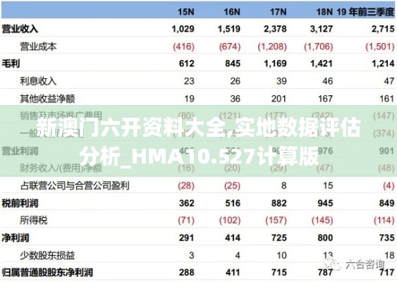 新澳门六开资料大全,实地数据评估分析_HMA10.527计算版