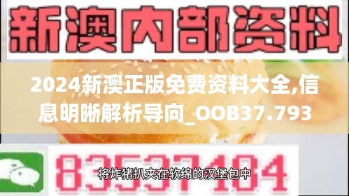 2024新澳正版免费资料大全,信息明晰解析导向_OOB37.793互助版