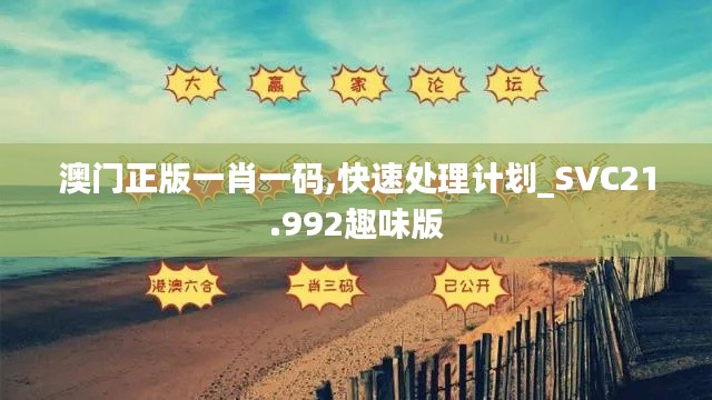 澳门正版一肖一码,快速处理计划_SVC21.992趣味版