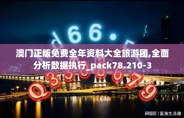 澳门正版免费全年资料大全旅游团,全面分析数据执行_pack78.210-3