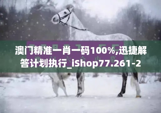 澳门精准一肖一码100%,迅捷解答计划执行_iShop77.261-2