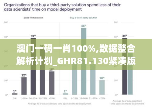 澳门一码一肖100%,数据整合解析计划_GHR81.130紧凑版