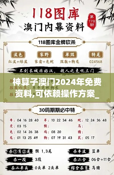 神算子澳门2024年免费资料,可依赖操作方案_SAV35.645设计师版