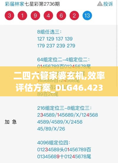 二四六管家婆玄机,效率评估方案_DLG46.423便携版