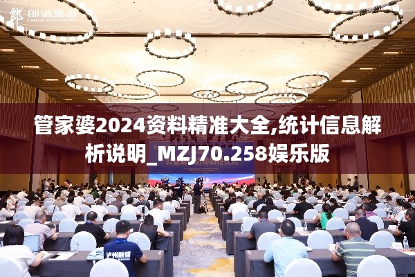 管家婆2024资料精准大全,统计信息解析说明_MZJ70.258娱乐版