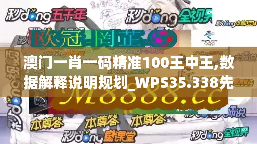 澳门一肖一码精准100王中王,数据解释说明规划_WPS35.338先锋实践版