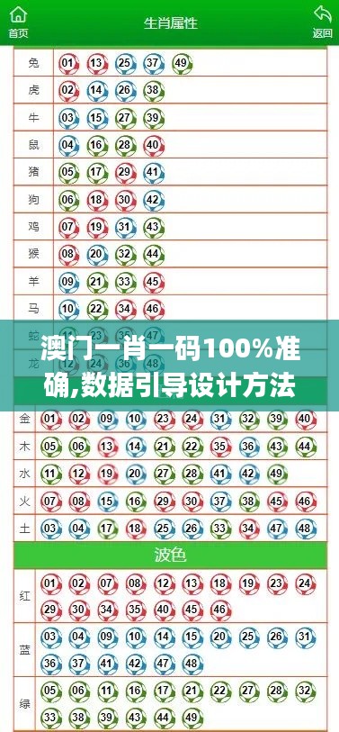 澳门一肖一码100%准确,数据引导设计方法_NCD97.717运动版