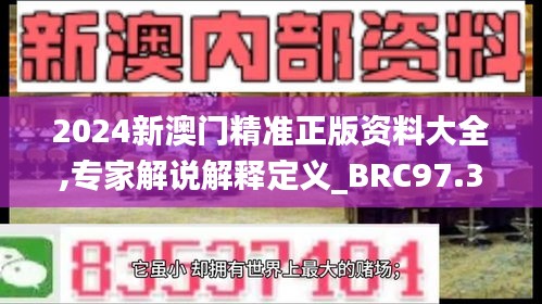 2024新澳门精准正版资料大全,专家解说解释定义_BRC97.359生态版