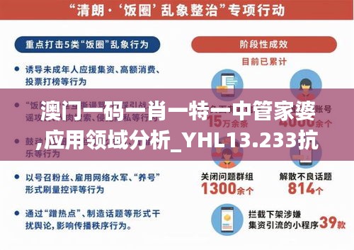 澳门一码一肖一特一中管家婆,应用领域分析_YHL13.233抗菌版