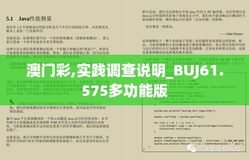 澳门彩,实践调查说明_BUJ61.575多功能版