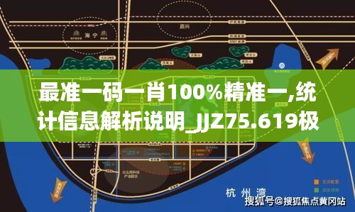 最准一码一肖100%精准一,统计信息解析说明_JJZ75.619极致版