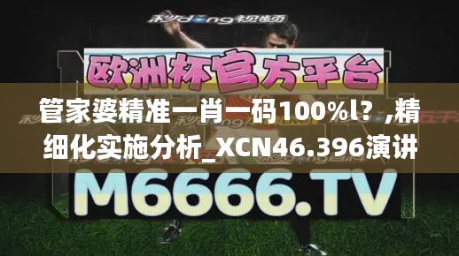 管家婆精准一肖一码100%l？,精细化实施分析_XCN46.396演讲版