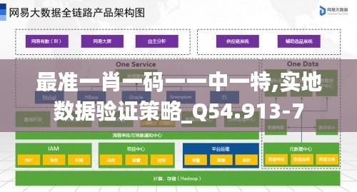 最准一肖一码一一中一特,实地数据验证策略_Q54.913-7