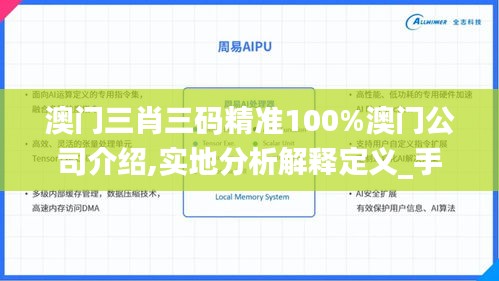 澳门三肖三码精准100%澳门公司介绍,实地分析解释定义_手游版42.556-1