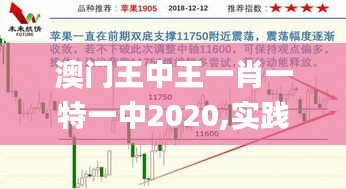 澳门王中王一肖一特一中2020,实践数据解释定义_模拟版126.503-9