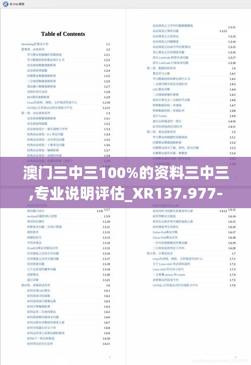 澳门三中三100%的资料三中三,专业说明评估_XR137.977-1