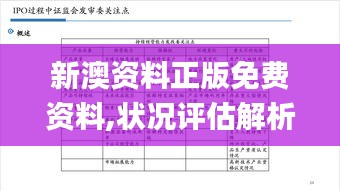 新澳资料正版免费资料,状况评估解析说明_set82.668-6