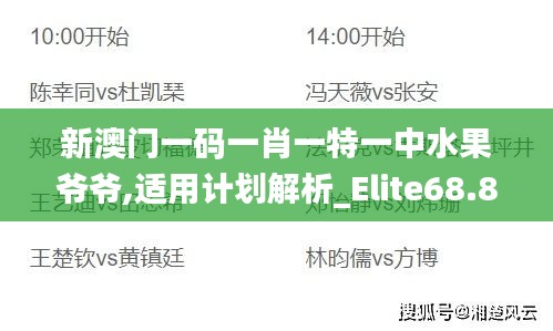 新澳门一码一肖一特一中水果爷爷,适用计划解析_Elite68.876-3