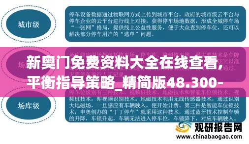 新奥门免费资料大全在线查看,平衡指导策略_精简版48.300-7