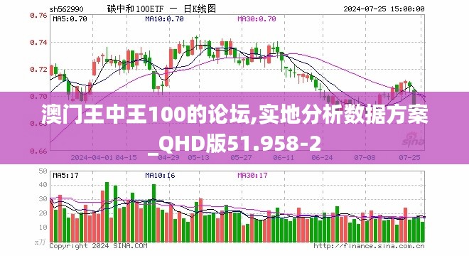 澳门王中王100的论坛,实地分析数据方案_QHD版51.958-2