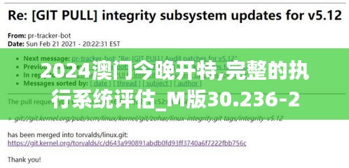 2024澳门今晚开特,完整的执行系统评估_M版30.236-2