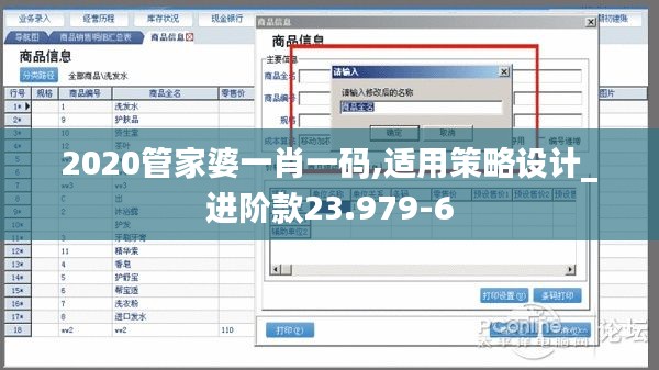 2020管家婆一肖一码,适用策略设计_进阶款23.979-6