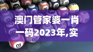 澳门管家婆一肖一码2023年,实地验证分析策略_OP36.833-5