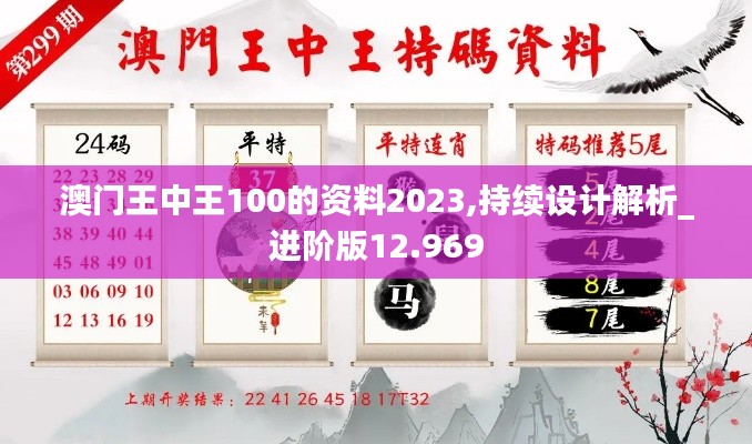 澳门王中王100的资料2023,持续设计解析_进阶版12.969