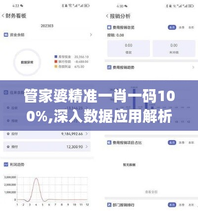 管家婆精准一肖一码100%,深入数据应用解析_SP5.925