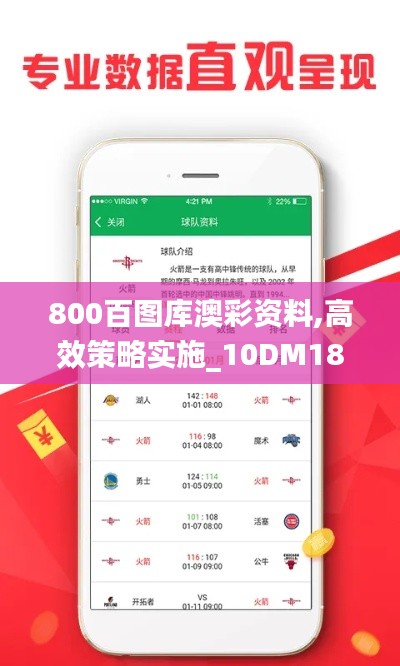 800百图库澳彩资料,高效策略实施_10DM18.696