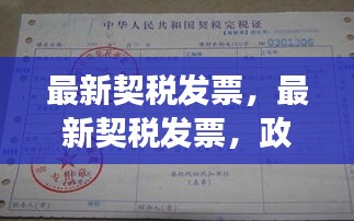 最新契税发票详解，政策解读、操作流程与注意事项指南