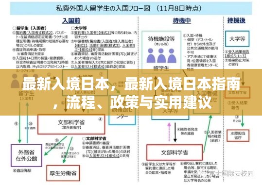 最新日本入境指南，流程、政策及实用建议全解析