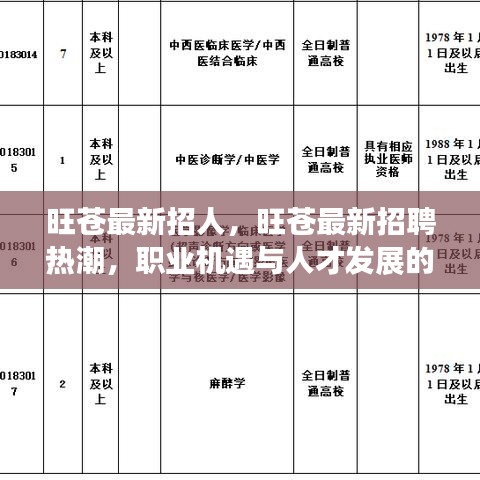 旺苍最新招聘热潮，职业机遇与人才发展的交汇点