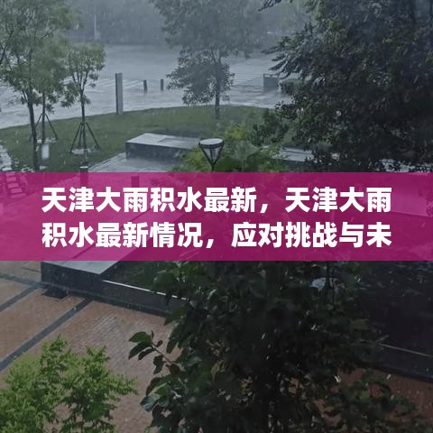 天津暴雨积水最新情况及应对挑战与未来展望