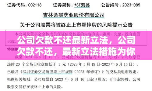 最新公司欠款不还立法措施解析，法律应对与应对策略